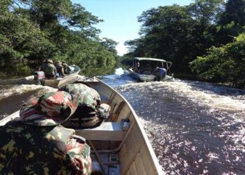 Mais de 1,1 mil pessoas são multadas em R$24,5 milhões por ilegalidades ambientais em MS
