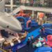 Tubarão gigante invade shopping de Campo Grande