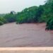 Rio Miranda em Bonito atinge nível de emergência e deixa Defesa Civil em alerta