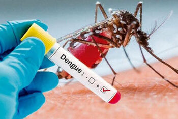 Uma pessoa pode ser infectada pela dengue até quatro vezes na vida