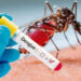 Uma pessoa pode ser infectada pela dengue até quatro vezes na vida