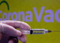 Anvisa recebe primeiro pedido da vacina contra covid-19