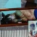 Casal é assassinado a tiros por visitas que chegaram em sua residência