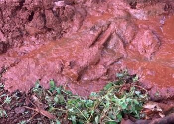 Homem encontrado em fossa com golpe de machado teria saído para jogar truco