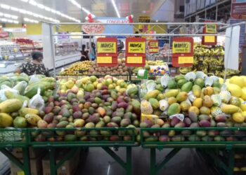 Variedade de frutas contribui para hidratação e alimentação saudável