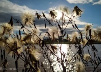 Terça-feira de tempo claro, calor e pancadas de chuva à tarde