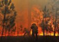Reinaldo anuncia R$ 56 milhões para combate permanente aos incêndios florestais