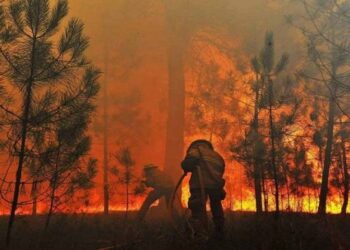Reinaldo anuncia R$ 56 milhões para combate permanente aos incêndios florestais