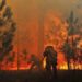 Reinaldo anuncia R$ 56 milhões para combate permanente aos incêndios florestais