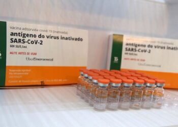 Especialistas explicam funcionamento e eficácia das vacinas virais no organismo