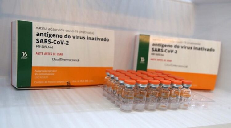 Especialistas explicam funcionamento e eficácia das vacinas virais no organismo