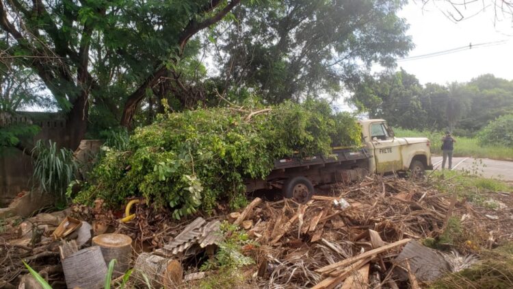 Homens são autuados em flagrante por descartar podas de árvores em terrenos na Capital
