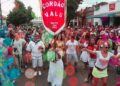 Carnaval virtual do Cordão Valu começa neste sábado