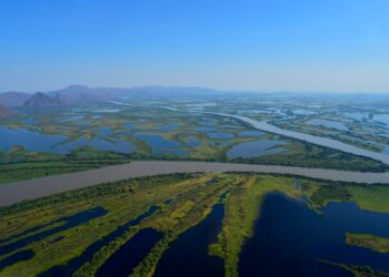 Dia Mundial das Áreas Úmidas traz conservação e água no centro dos debates