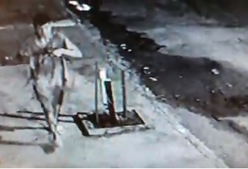 Câmeras flagram ladrão quebrando relógio de padrão e furtando fiação na Capital