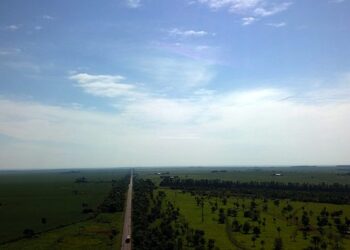 Meteorologia prevê fim de semana de sol, calor e tempo seco