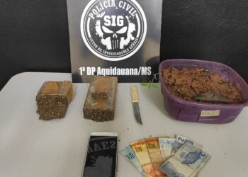 Maconha é encontrada em caixa com adesivo de suplente de vereador e ela é presa