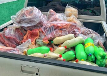 Polícia apreende mais de 1t de carne sem procedência e imprópria para consumo