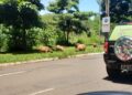 “Pensa nas Capivaras gordinhas!”: leitor flagra bando na Avenida Ernesto Geisel