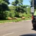 “Pensa nas Capivaras gordinhas!”: leitor flagra bando na Avenida Ernesto Geisel