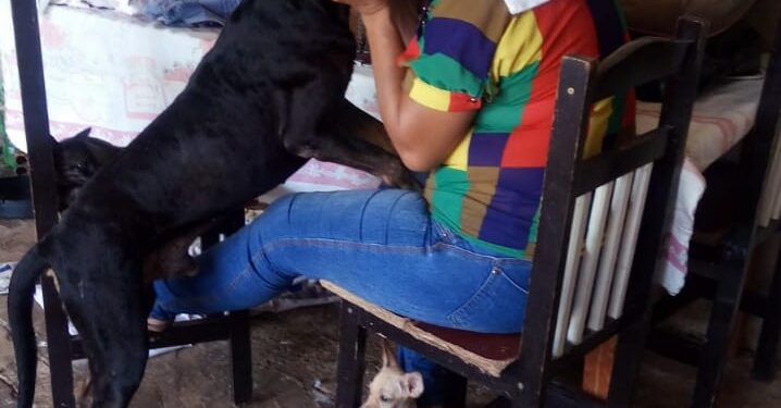 Rainha da floresta existe, mora na Capital e até enfrentou fogo para salvar animais