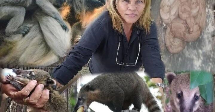 Rainha da floresta existe, mora na Capital e até enfrentou fogo para salvar animais