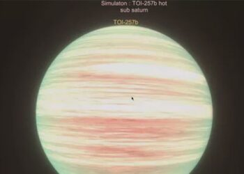 Estamos diante da diversidade cósmica, diz astrônomo sobre exoplanetas