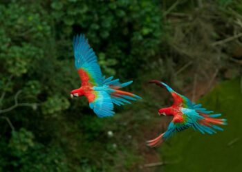 Novo estatuto da Fundtur promove mais eficiência nas ações do turismo de MS