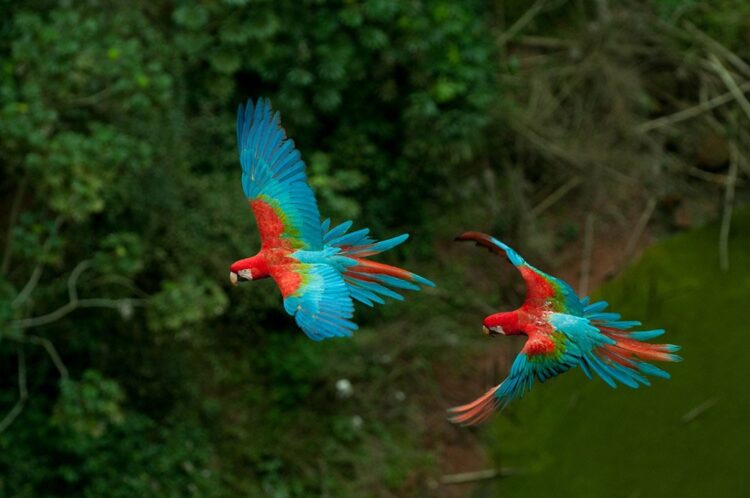 Novo estatuto da Fundtur promove mais eficiência nas ações do turismo de MS