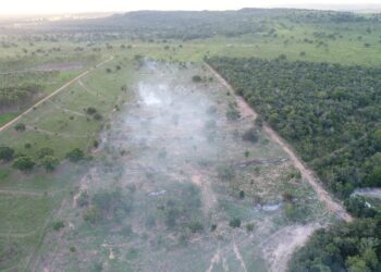 Polícia Militar Ambiental de Coxim autua dono de sítio por incêndio em vegetação nativa