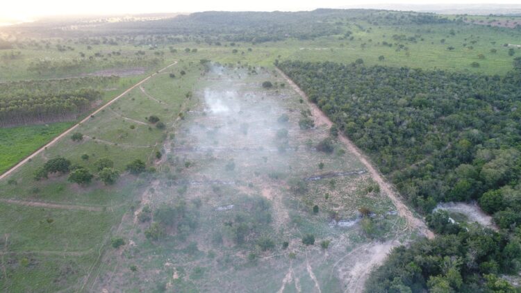 Polícia Militar Ambiental de Coxim autua dono de sítio por incêndio em vegetação nativa