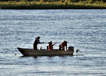 FundturMS apresenta campanha “Temporada de Pesca 2021” a empresários do setor