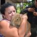 “Amor de capivara”: Mulheres que adotaram roedor como animal de estimação
