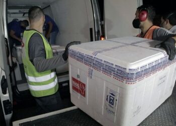 MS recebe 14º lote de vacina com 45,5 mil doses enviadas pelo Ministério da Saúde