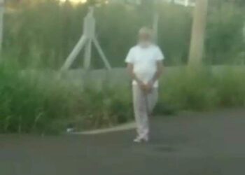 Polícia encontra casa do idoso flagrado na rua fazendo sexo com cachorro