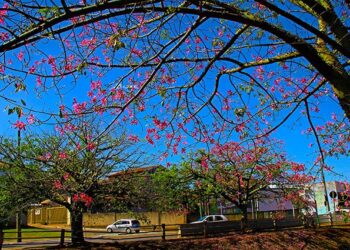 Clima muda a partir deste fim de semana e sul do Estado pode registrar mínima de 8°C