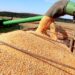 Mato Grosso do Sul colhe 13 milhões de toneladas de soja e bate recorde de produção