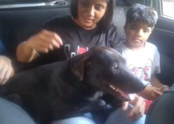 Polícia devolve à dona, cachorro encontrado fugido no Parque dos Poderes