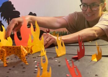 Curta-metragem em stop motion aborda incêndios no Pantanal