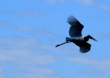 Temperaturas já começam a cair a partir de hoje em Mato Grosso do Sul