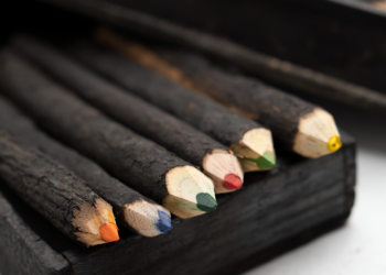 R$742 mil: valor da caixa de lápis de madeira carbonizada é o mesmo que focos no Pantanal