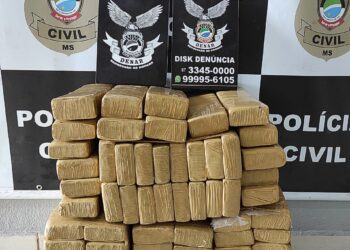 Polícia Civil apreende mais de 100kg de maconha em uma transportadora