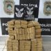 Polícia Civil apreende mais de 100kg de maconha em uma transportadora