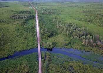 Obras de acesso à ponte que interliga os pantanais da Nhecolândia e Paiaguás estão adiantadas
