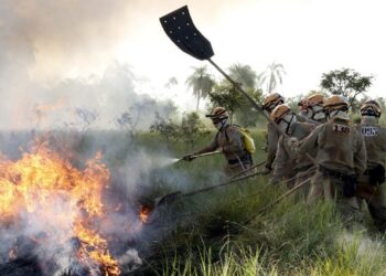 Para reforçar combate a incêndios florestais, 151 novos bombeiros passam por capacitação