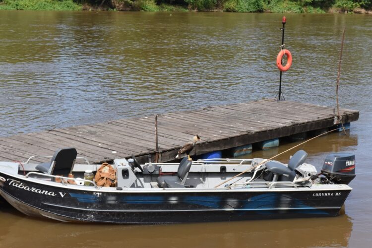 Fundesporte idealiza maratona e prova de mountain bike na Estrada Parque Pantanal