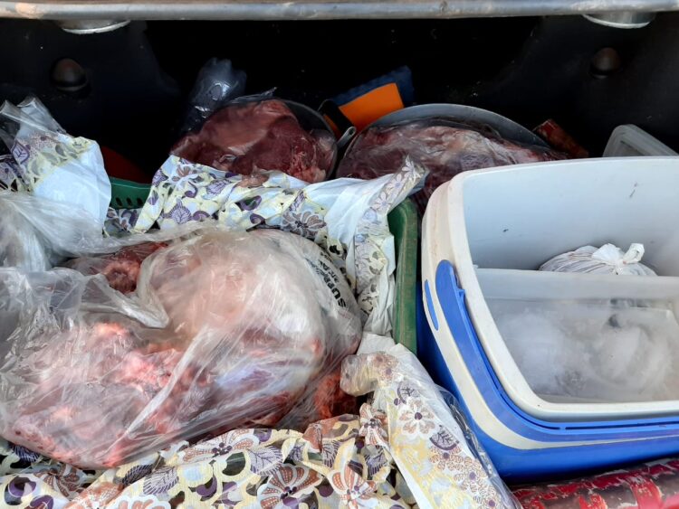 Pai e filho são presos por matar e furtar 100kg de carne de vaca em chácara no interior