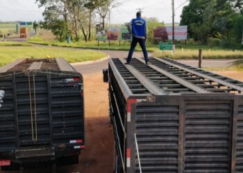 Fiscais Agropecuários são atores do avanço do agronegócio em MS