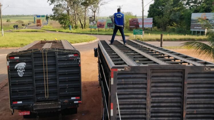 Fiscais Agropecuários são atores do avanço do agronegócio em MS