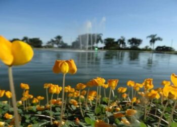 Primeiro fim de semana de abril será de calor e tempo seco em Mato Grosso do Sul